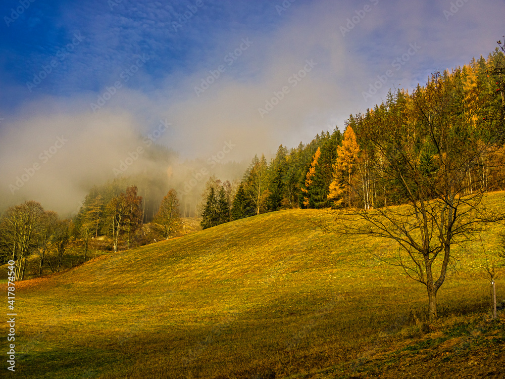 Fototapeta premium Morgennebel im Herbst