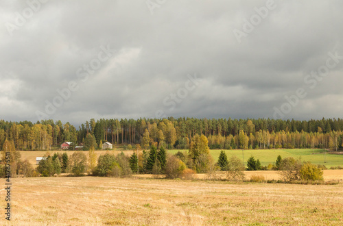 autumn landscape with trees and clouds