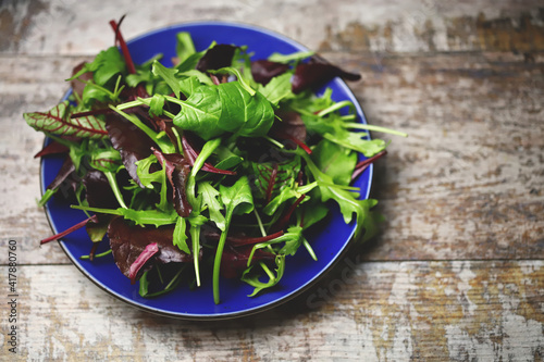 Mix of fresh salads on a blue plate. Diet concept. Healthy eating rules.