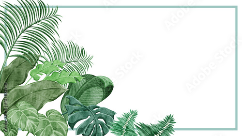 Fototapeta Naklejka Na Ścianę i Meble -  熱帯植物トロピカルフレームデコレーション