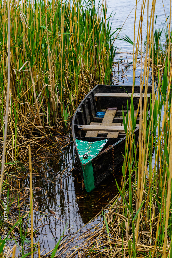 Old boat moored in the thicket of reeds Old boat moored in the thicket of reeds