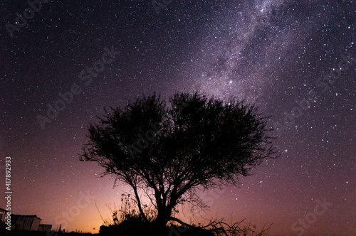 Árbol en medio del campo con cielo estrellado y vía láctea