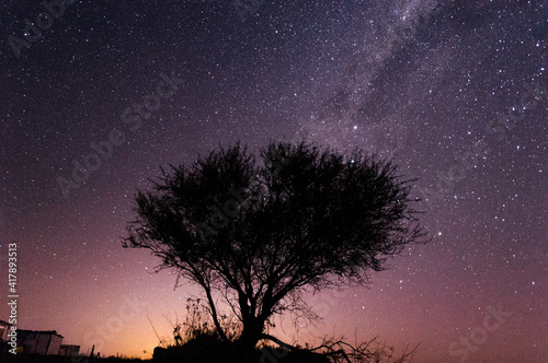 Árbol en medio del campo con cielo estrellado y vía láctea