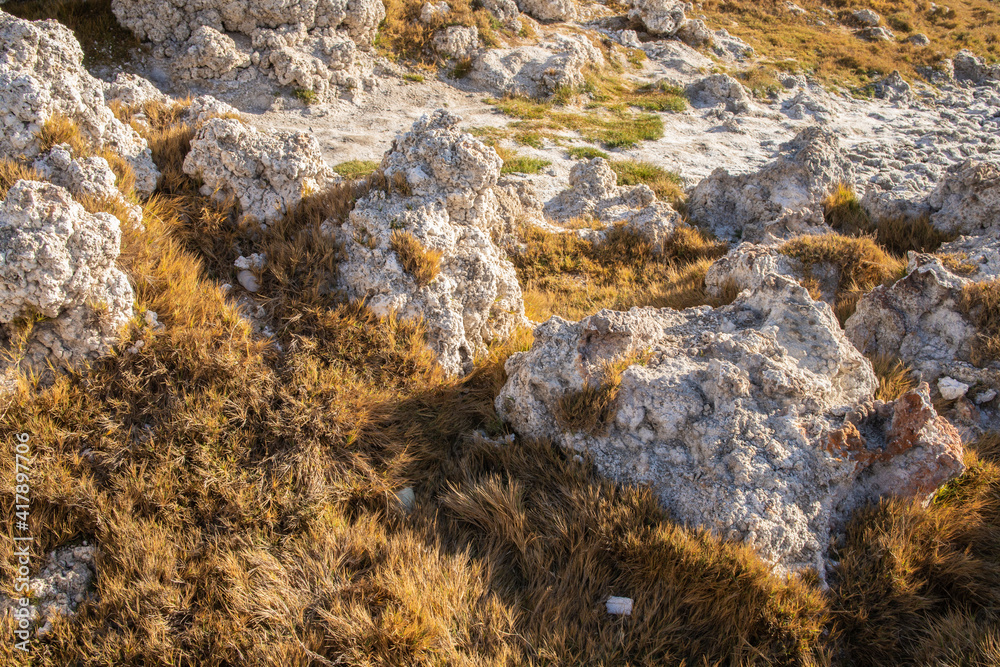 Rocas y hierba Rocas y hierba
