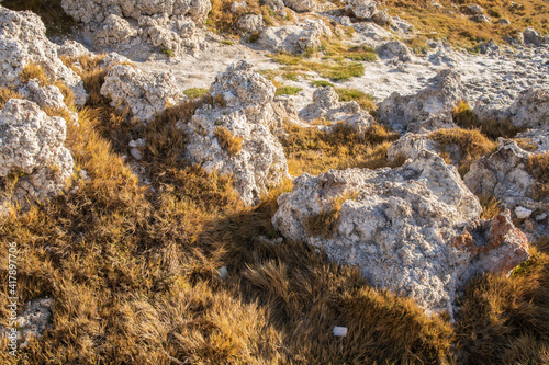 Rocas y hierba photo