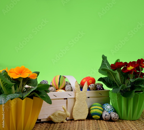 primroses, painted eggs and bunny shaped cookies on green background photo