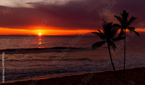Sunset over ocean with palm trees silhouette. © Sergey Fedoskin