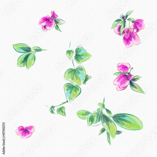 Fotografiet watercolor greeting card elements bougainvillea and leaves isolated on white