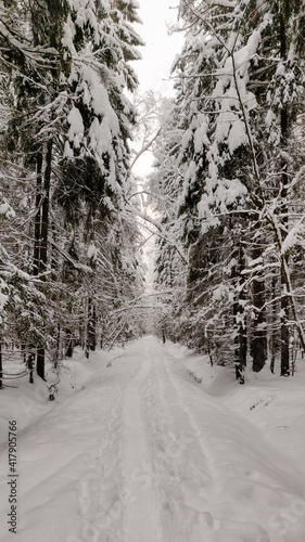 Winter trail © Grigorii
