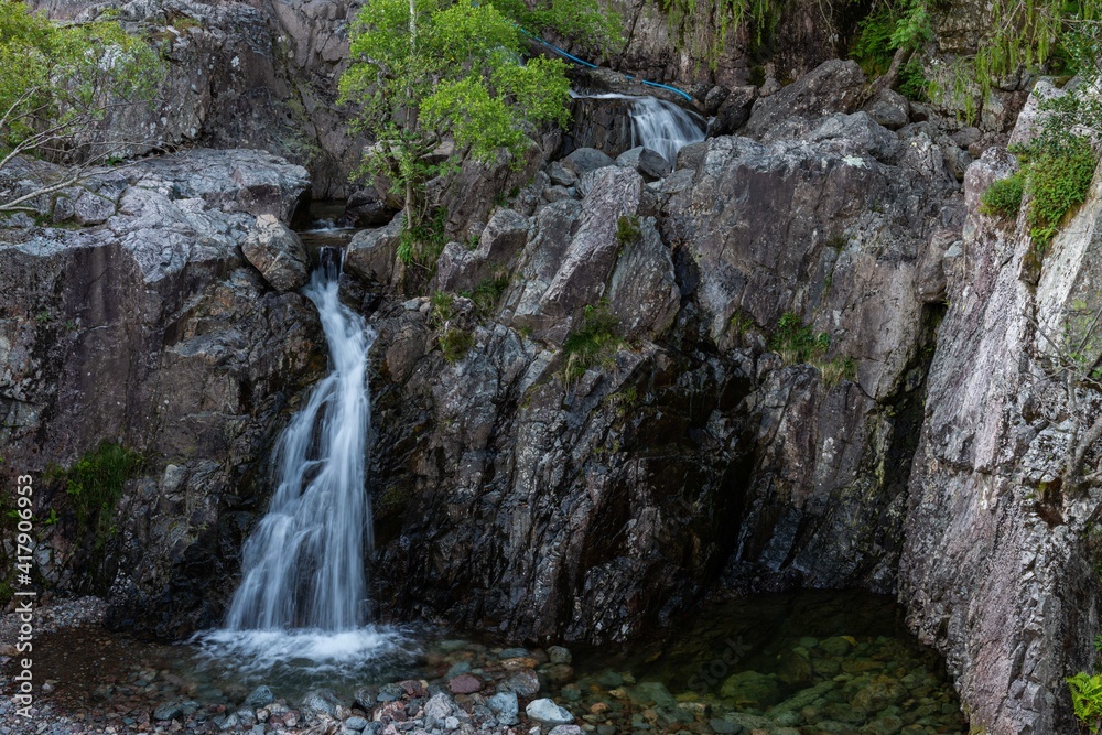 river in the forest