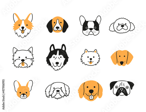 Set of heads of different breeds dogs. Corgi, Pug, Chihuahua, Terrier, Retriever, Dachshund, Poodle. Collection of dog faces Hand drawn isolated vector illustration in doodle style on white background