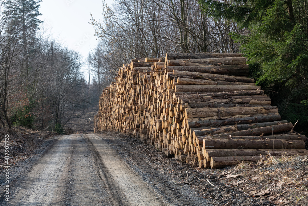 Waldsterben in Deutschland