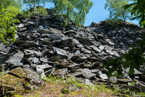 rocks in the forest