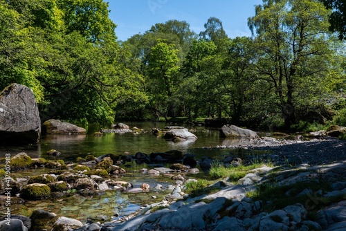river in the forest