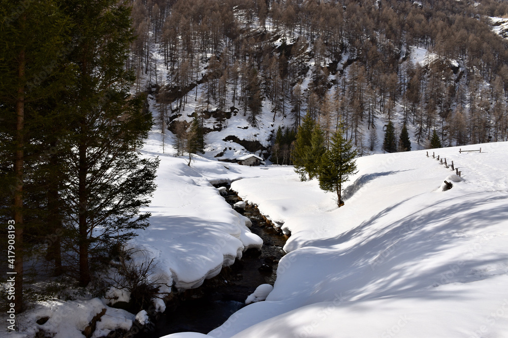 Brook in the snow Brook in the snow