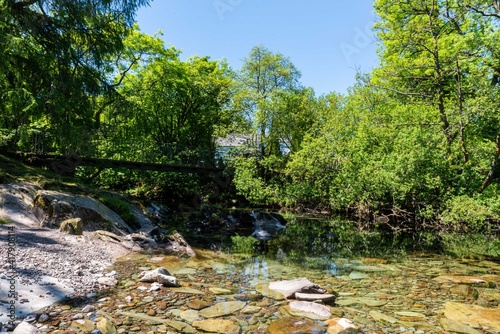 river in the forest