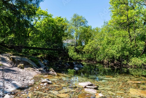 river in the forest