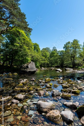 river in the forest