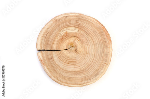 Wooden saw cut of a tree silt with a pronounced pattern of annual rings on a white background