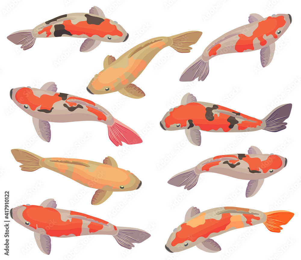 Vector set with Red and gold koi fishes. Flat cartoon icon isolated on white background. Vector set with Red and gold koi fishes. Flat cartoon icon isolated on white background.