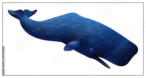Vector blue whale. Flat cartoon icon isolated on white background in realistic style.