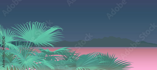 tropical palm bush and stromy sunny