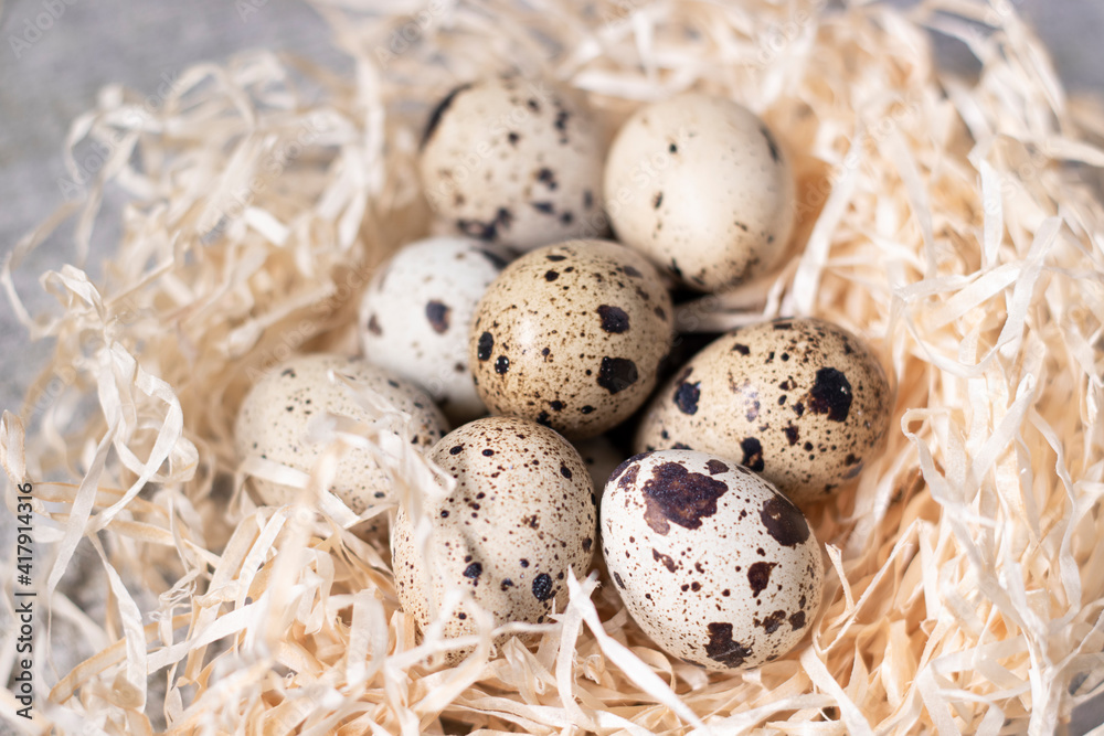 Fototapeta premium composition of quail eggs in a nest of dry grass or Wheat, oats, millet. with free space for text advertising of food or restaurant menu design. Healthy food concept.