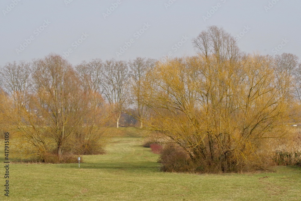 Obraz premium Landschaft