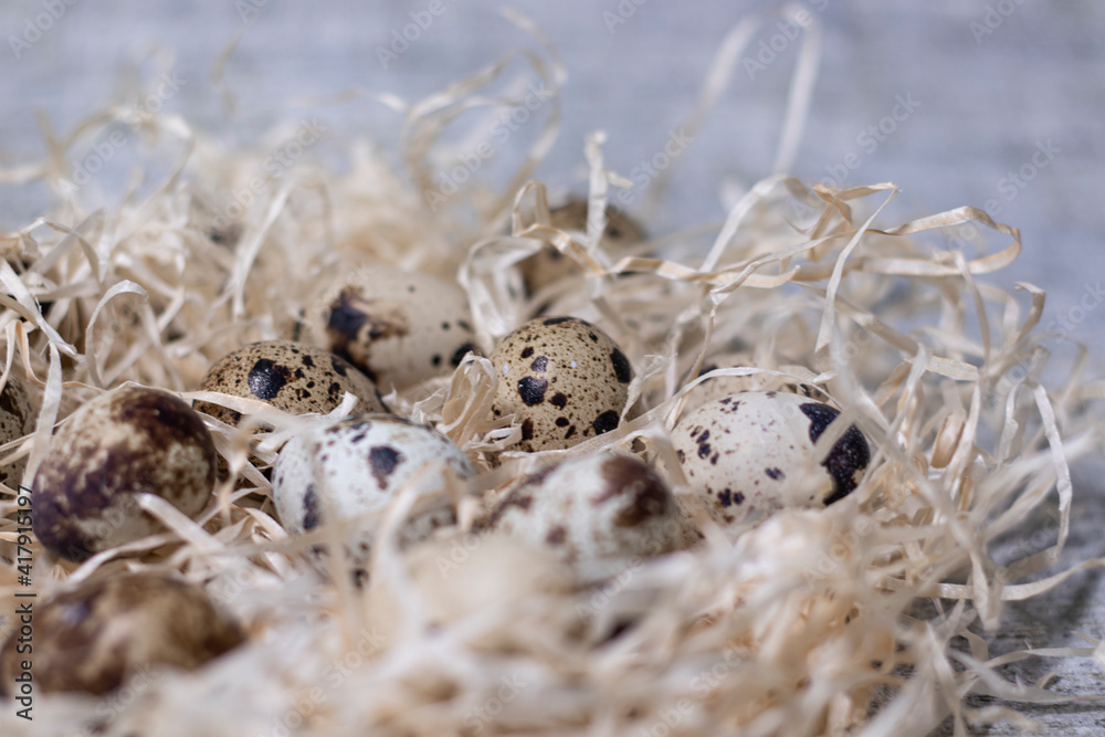 close up of quail eggs in a nest of dry grass. copy space for advertising of food or restaurant menu design. easter eggs close up of quail eggs in a nest of dry grass. copy space for advertising of food or restaurant menu design. easter eggs