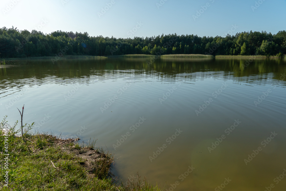 A small lake in the forest. A place of recreation in nature. Trees along the lake shore.