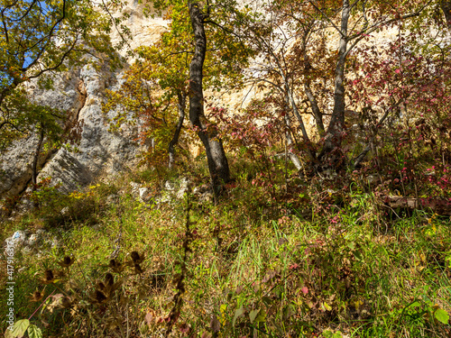 Autumn nature walks along a mountain canyon on a warm autumn day, along a difficult route.