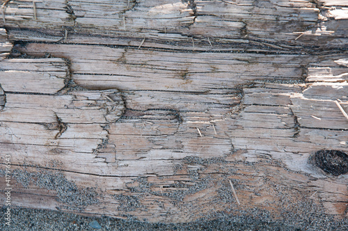 Closeup of driftwood with sand at the bottom for cool textures and design elements of nature.