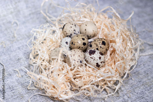 composition of quail eggs in a nest of dry grass or Wheat, oats, millet. with free space for text advertising of food or restaurant menu design. Healthy food concept.