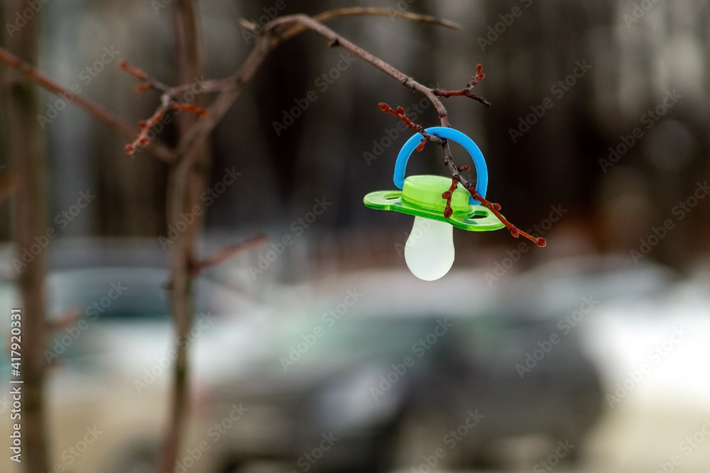 Baby pacifier hanging on a tree branch