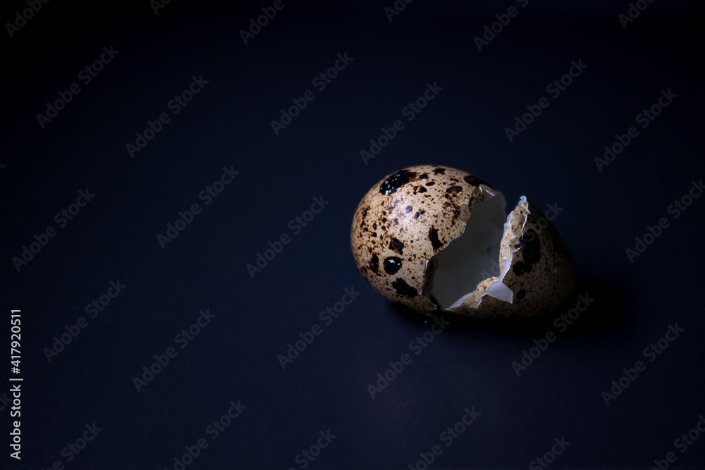 Fototapeta premium broken Quail eggshell isolated on black background