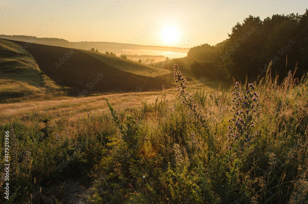 Sunrise among fields and hills, beautiful sunlight and fog over the ground