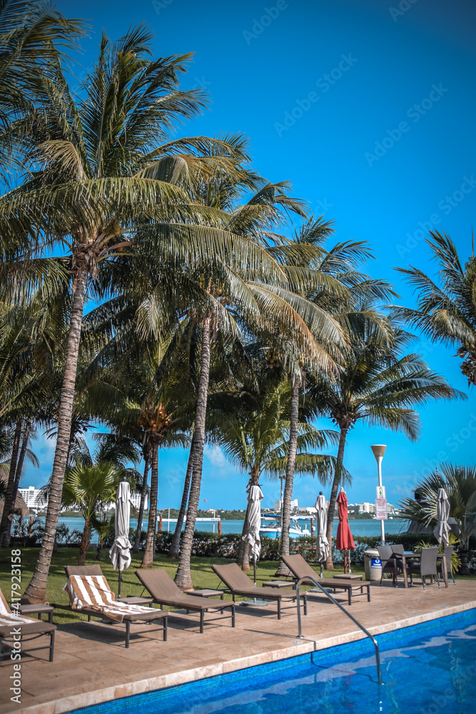 Obraz premium Palm Trees by Hotel Pool in Cancun