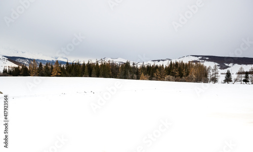 View of Ulagan Highlands photo