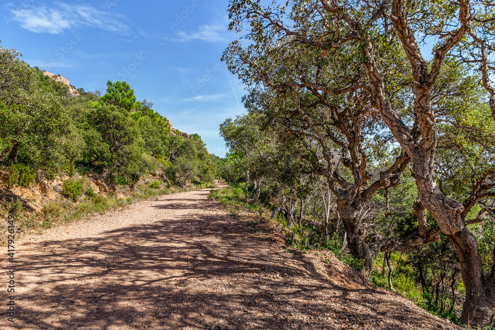 Picturesque dirt road in Esterel Mountains Massif de l'Esterel. Saint Raphael, Provence, Cote d'Azur, France. Picturesque dirt road in Esterel Mountains Massif de l'Esterel. Saint Raphael, Provence, Cote d'Azur, France.