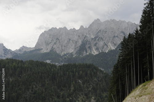 Rocky mountains and pine treas 