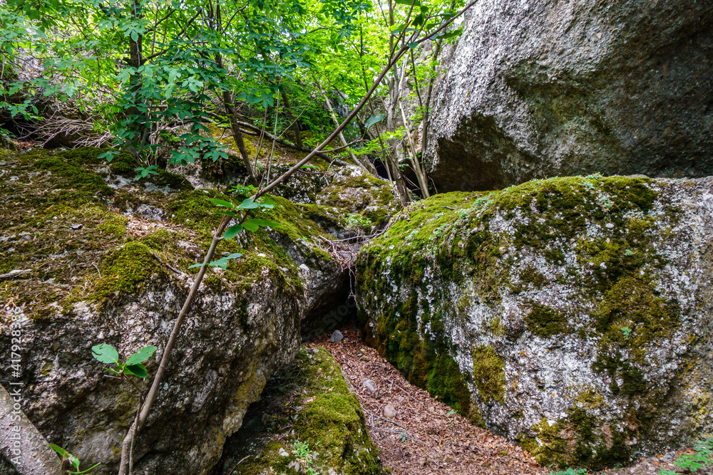 Massive prehistoric boulders overgrown by moss & forest plants. Shot in Valley of Ghosts, near Alushta, Crimea