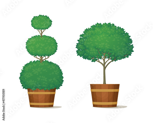 Trimmed bushes with lush green foliage in wooden planters. Ornamental potted trees for indoor or garden decoration. Vector illustration. Summer, spring icon. Topiary.