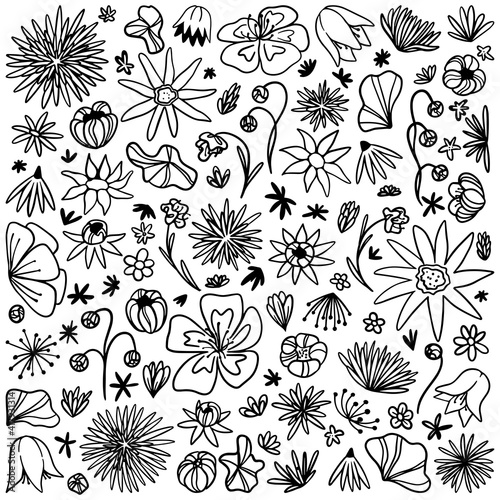 Doodles collection of abstract flowers. Hand drawn vector illustrations. Black outline vintage drawings isolated on white. Simple contour botanical elements for design, cards, print, decor, stickers.
