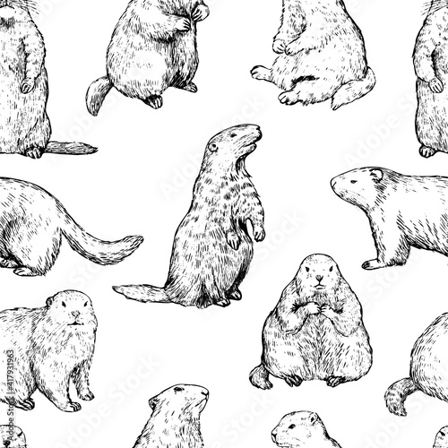 Seamless pattern of groundhogs, marmot sketches. Hand drawn vector illustration. Woodchuck black retro ornament. Design for fabric, textile, wallpaper, print, background, Groundhog Day decor, card. photo