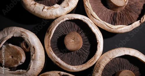 Portobello mushrooms rotating on black background