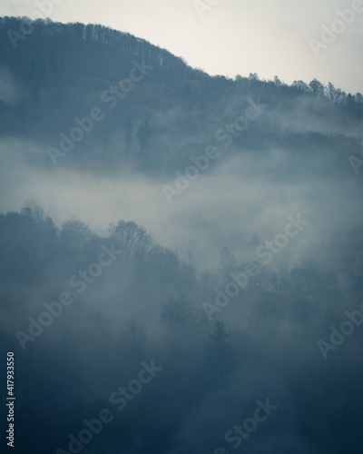 misty mountains landscape with trees