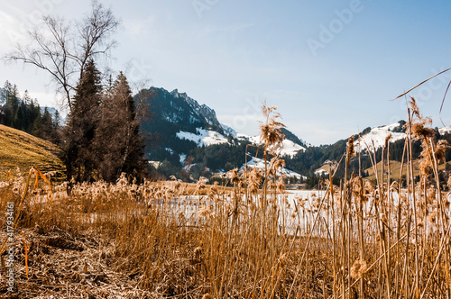 Schwarzsee, Lac Noir, Fribourg, Freiburg, Bergsee, Uferweg, Wanderweg, Schilf, Naturschutz, Kaiseregg, Schafberg, Riggisalp, Spitzflue, Winter, Wintersport, Eisfläche, Alpen, Schweiz photo