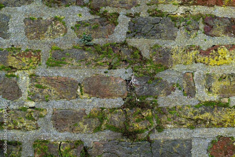 Old, mossy brick wall, vintage and industrial style background