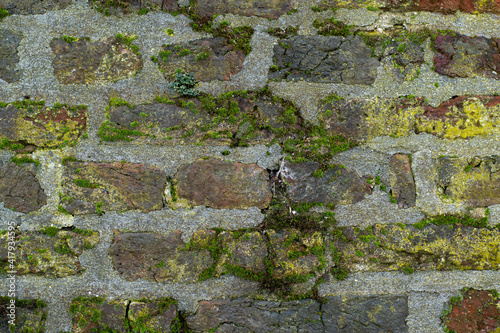 Obraz na płótnie Old, mossy brick wall, vintage and industrial style background w salonie