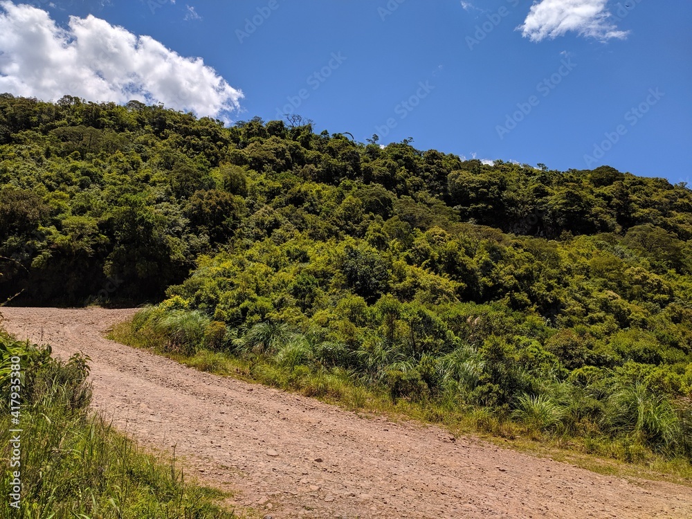 road in the park